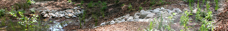 Chesapeake Bay Watershed Stormwater Runoff Management