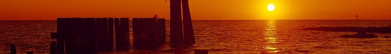 Chesapeake Bay Watershed Environmental Services
