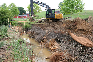 environmental construction services