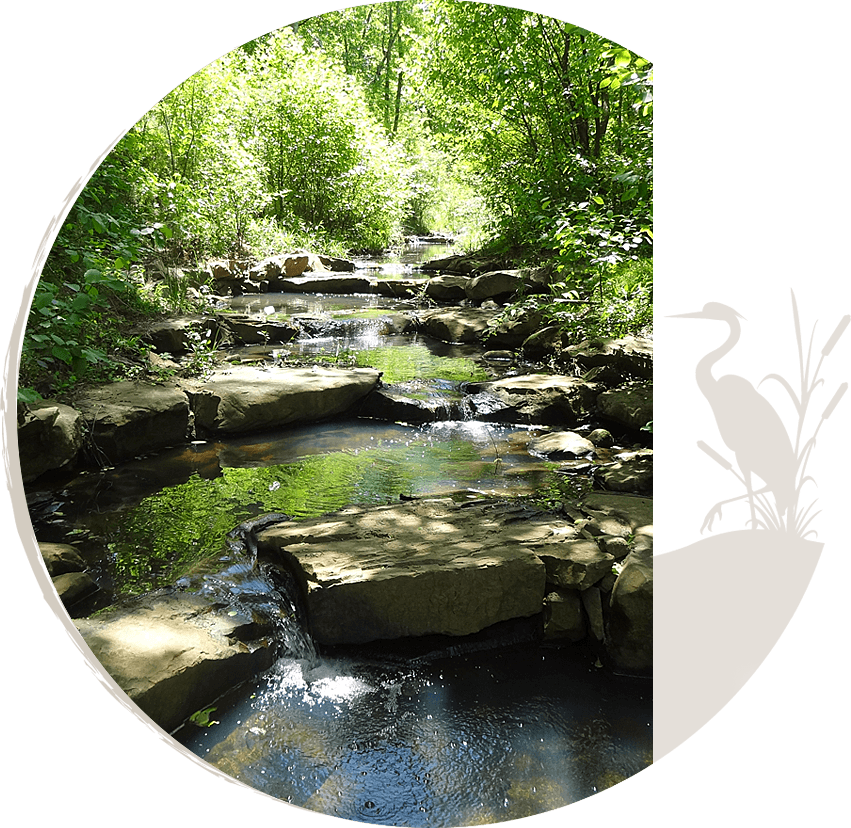 Stream Restoration