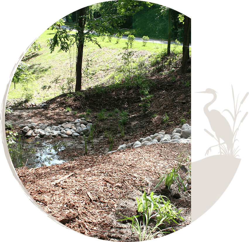 Rainfall & Stormwater Runoff Management